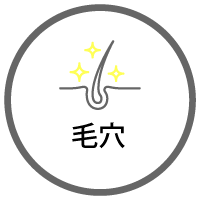 毛穴
